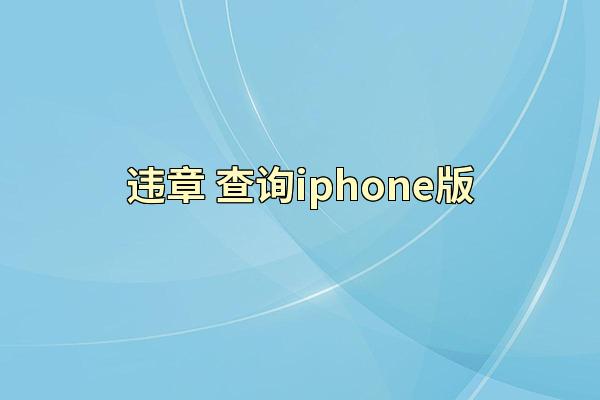 违章 查询iphone版